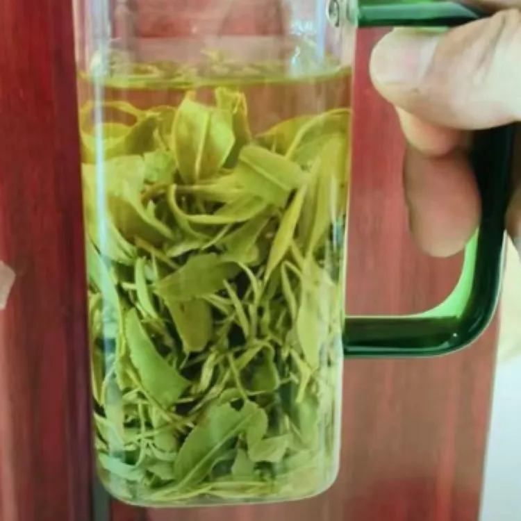 2025年正宗信阳核心产区大叶茶新茶浓香型绿茶耐泡信阳毛尖新茶