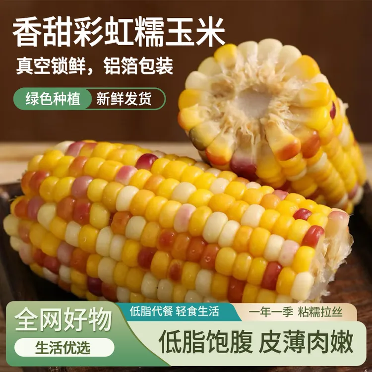 【试吃2根】2025年7月新品 真空包装 五彩甜糯玉米 彩虹玉米 