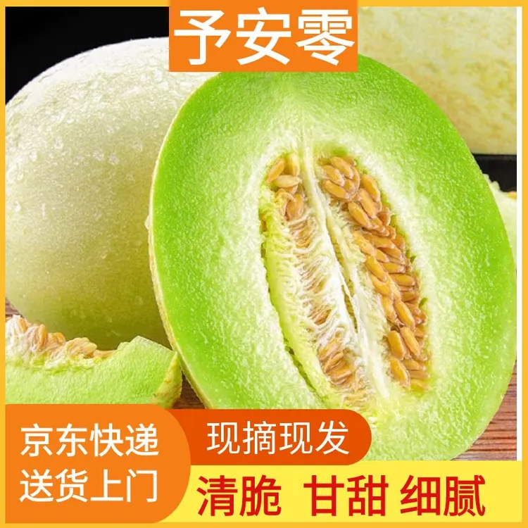 本地玉菇甜瓜一箱3个装7斤以上