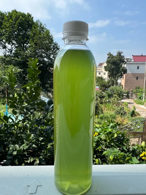 黑尾虎头蜂诱蜂水黑尾诱蜂水