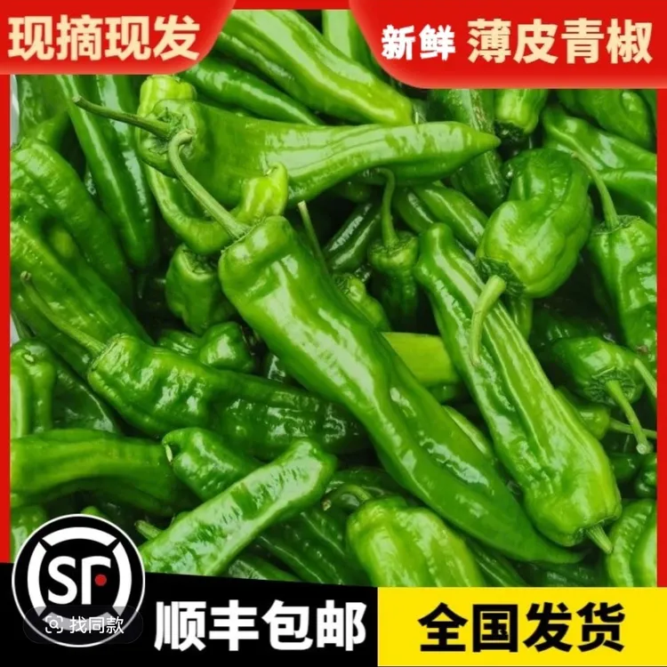 【顺丰包邮】皖南薄皮青椒微辣菜椒虎皮蔬菜现摘辣椒批一整箱