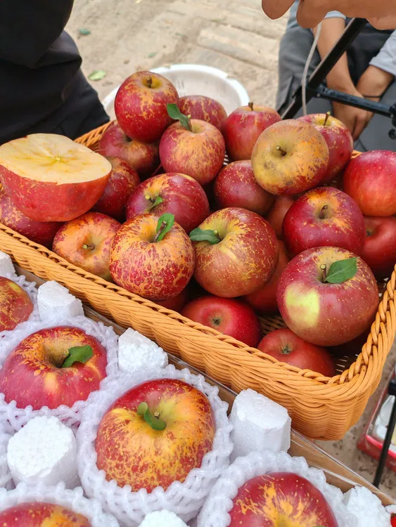 大凉山盐源冰糖心丑苹果新鲜现摘脆甜多汁当季应季水果