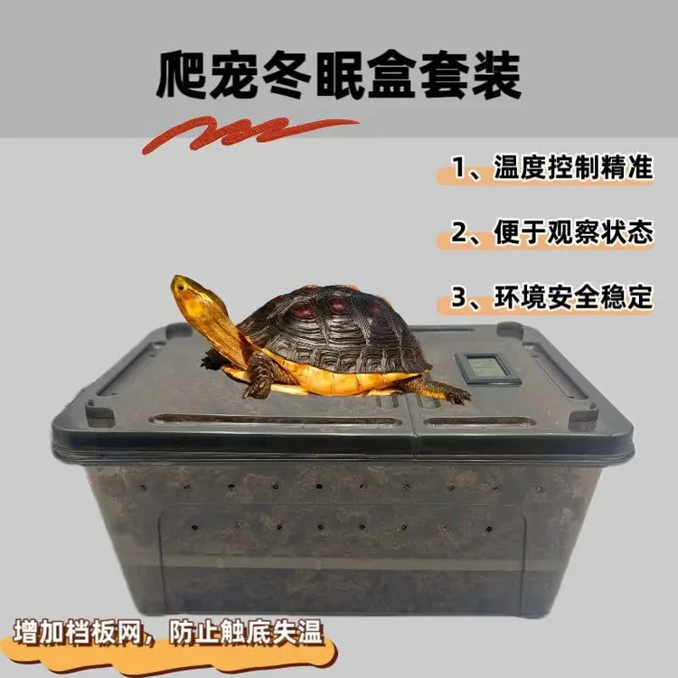 黄缘龟冬眠箱过冬垫材乌龟冬眠用品饲养箱智利水苔小龟冬眠盒套装