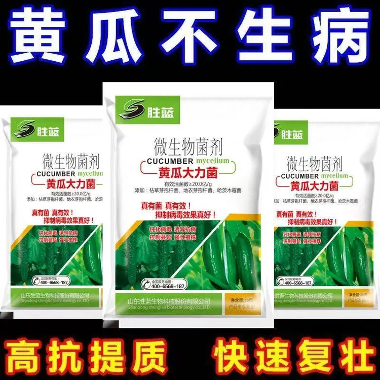 黄瓜玉米专用黄瓜病全靶斑病灰霉病角斑斑点霜霉黄瓜微生物肥料
