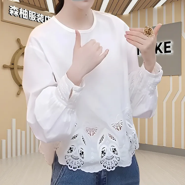 2025新款精致蕾丝洋气刺绣长袖圆领T恤女设计感宽松别致显瘦上衣