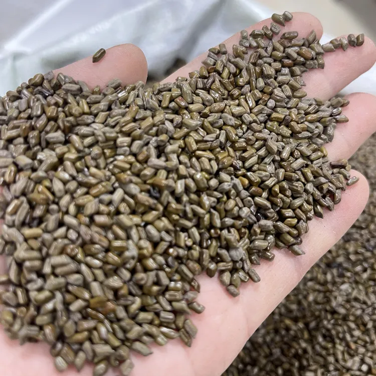 野生决明子散装正品无硫决明子茶1斤