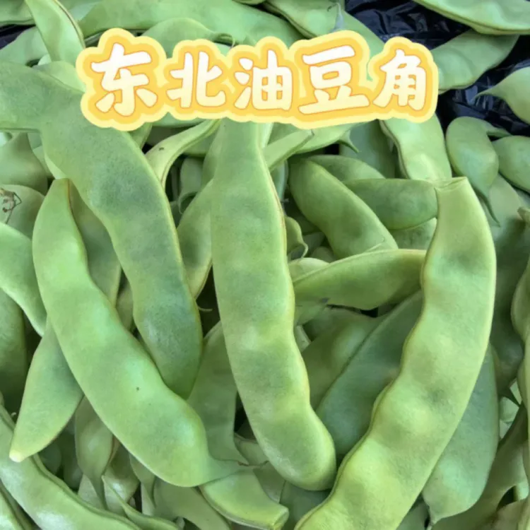 东北黑龙江纯陆地油豆角新鲜现摘开锅即烂