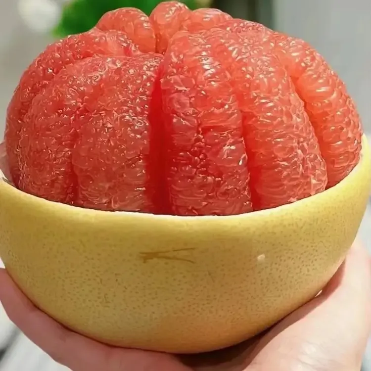 红心柚当季新鲜水果果大皮薄清甜多汁现摘现发