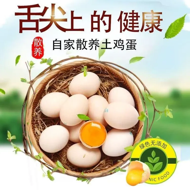 【整箱50枚】生态土鸡蛋新鲜营养50枚初生蛋新鲜