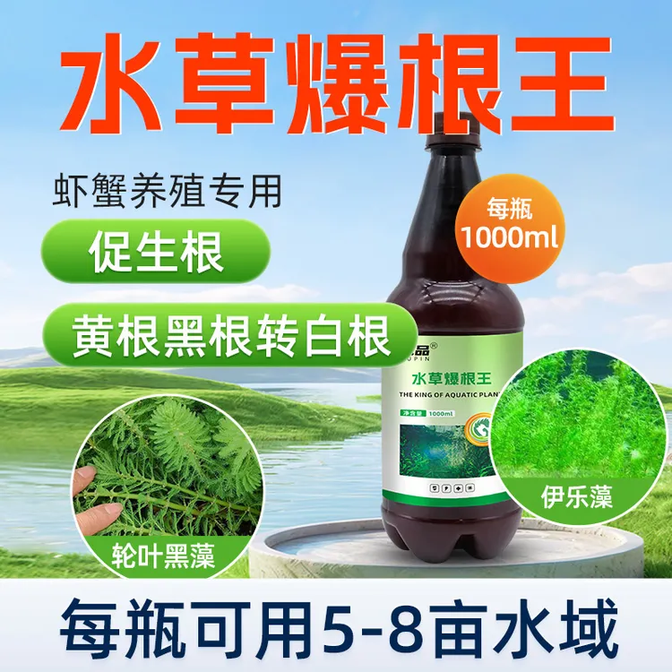 水草爆根王水产养殖专用水草壮根肥生根素虾塘蟹塘净化水质生根剂