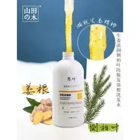 大利利-00-83（持证产品）脱发自救-改善头皮生姜侧柏叶防脱洗发水