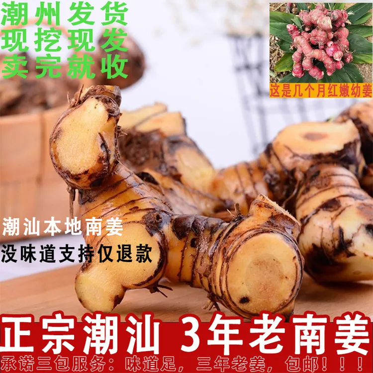 正宗潮汕新鲜南姜三年黄皮老姜牛羊肉卤味去腥提味调料卤水伴侣
