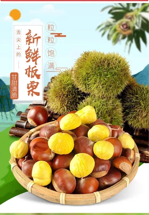 陕南安康秦岭山脉新鲜板栗小板栗老品种老树板栗软糯香甜汉中特产