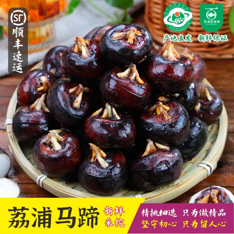 广西桂林荔浦荸荠马蹄清甜脆爽新鲜现挖农家水果马蹄广西正宗马蹄