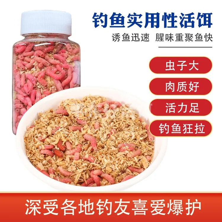 【夏季款大蛆虫】钓鱼活蛆蛆虫红蛆虫白蛆钓公鱼鲫鱼石斑马口活虫饵