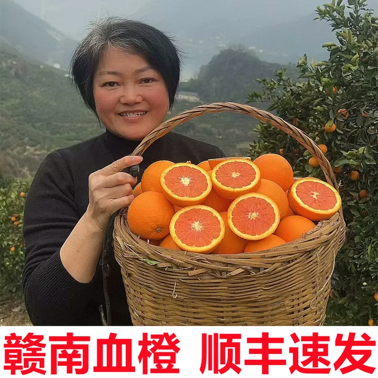 【江西赣南血橙】【顺丰速发】红心红肉橙子非中华血橙新鲜水果5-10斤