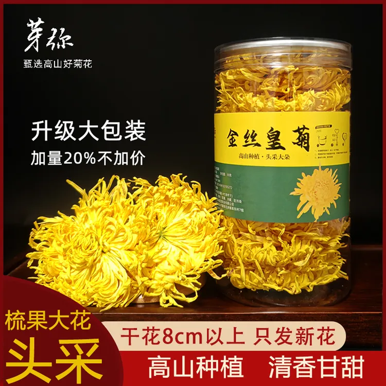 【头采大花】25年新花正宗大朵金丝皇菊高山清甜一朵一大杯菊花茶