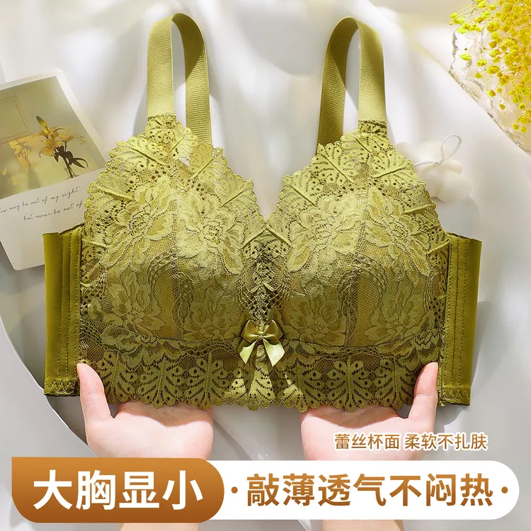 内衣女款2025新款网红爆款聚拢大胸显小薄款聚拢文胸透气柔软蕾丝