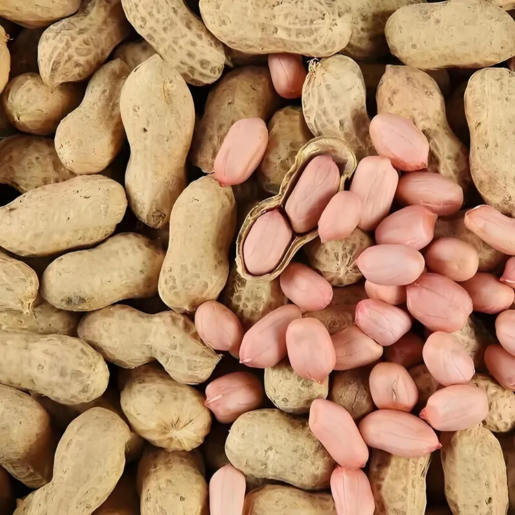 乡行者走乡村农家新鲜干花生干炒油炸小零嘴