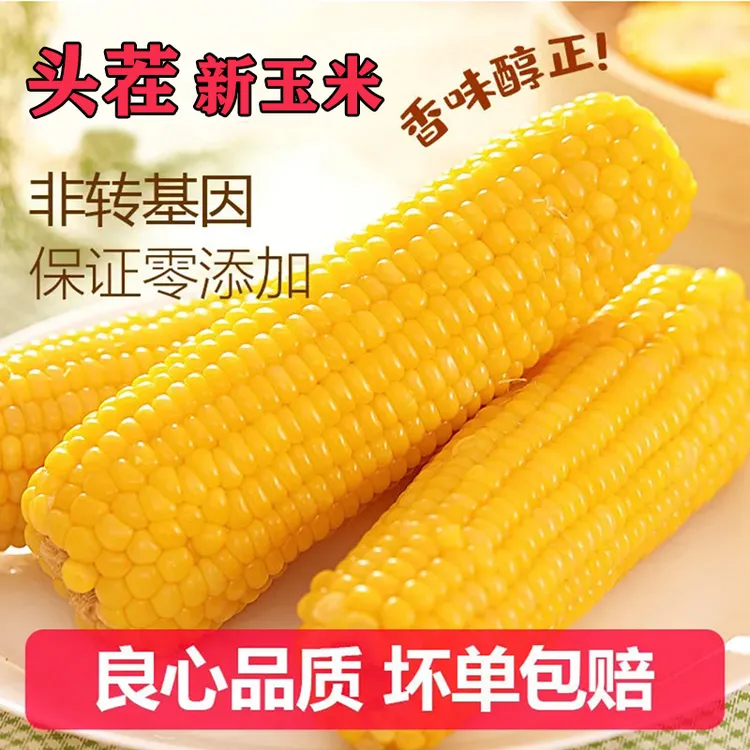 【试吃6根】2025年东北黄香糯玉【整箱15根】米软糯年香粗粮代餐