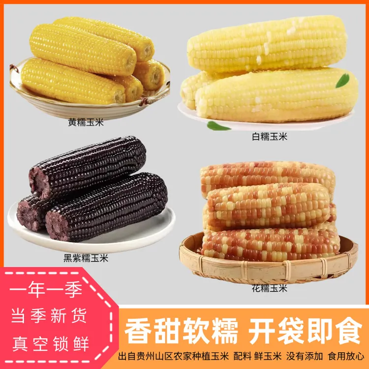 贵州黑糯玉米软糯香甜花糯玉米即食农家黄糯玉米段棒独立包装玉米