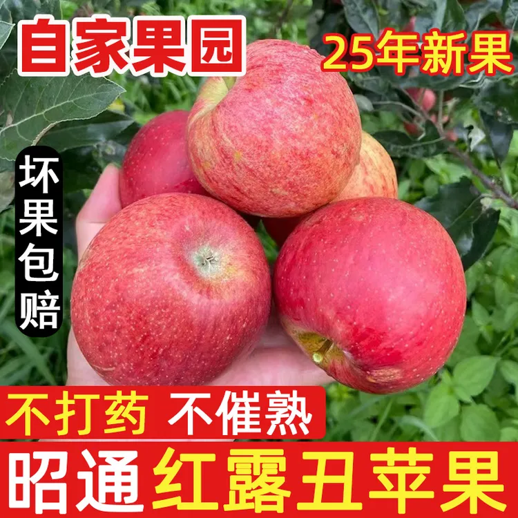 云南昭通丑苹果当季新鲜脆甜冰糖心红露果园现摘水果5/10斤包邮