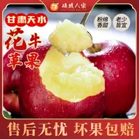 【峡城人家】甘肃天水花牛苹果4.5斤粉面香甜多汁色泽鲜艳