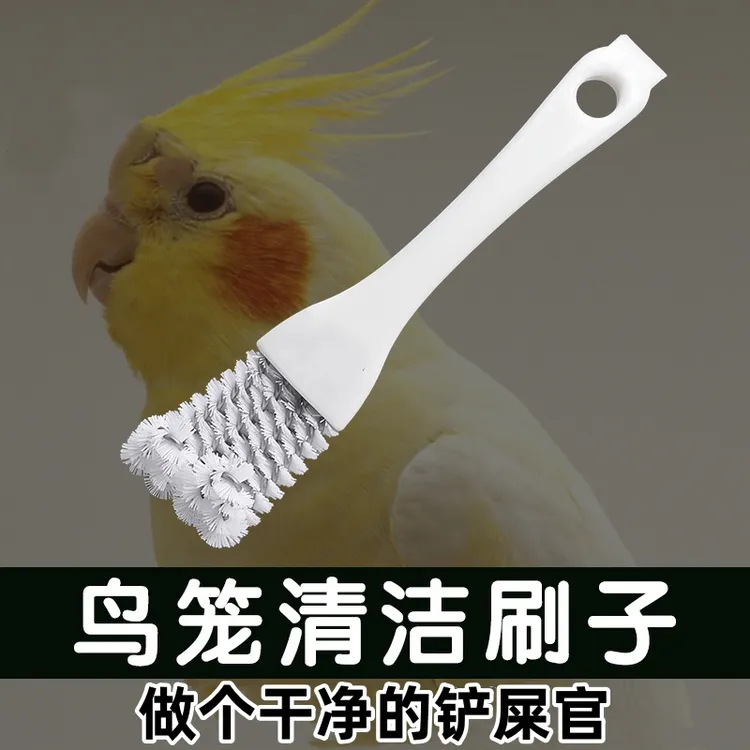 鸟笼清洁刷子清洗粪便铲子多功能鹦鹉笼清洁神器清理笼子鸟用品