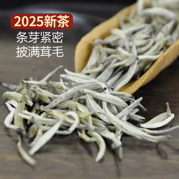 【2025年新茶】正宗茉莉花茶叶特级全芽金针王银针毛尖花茶浓香茶叶