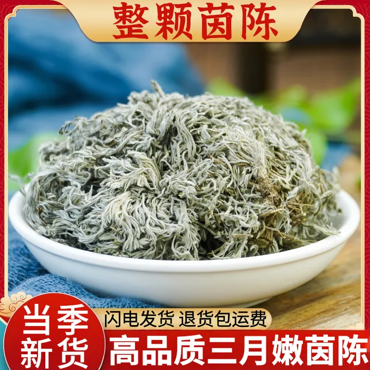 茵陈整颗正品新鲜干货三月绵棉茵陈蒿草整颗泡茶水精选白蒿茵陈茶