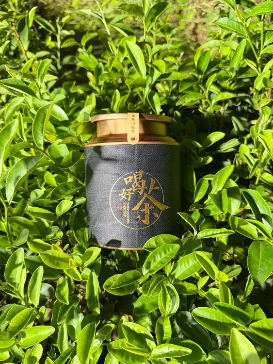 2025年 粤东地区第一高山脉 高山云雾 莲花山 特级绿茶 白露茶 