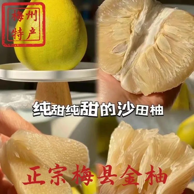 【精品中果】正宗梅州老树沙田柚纯甜白柚子新鲜水果梅县金柚30斤