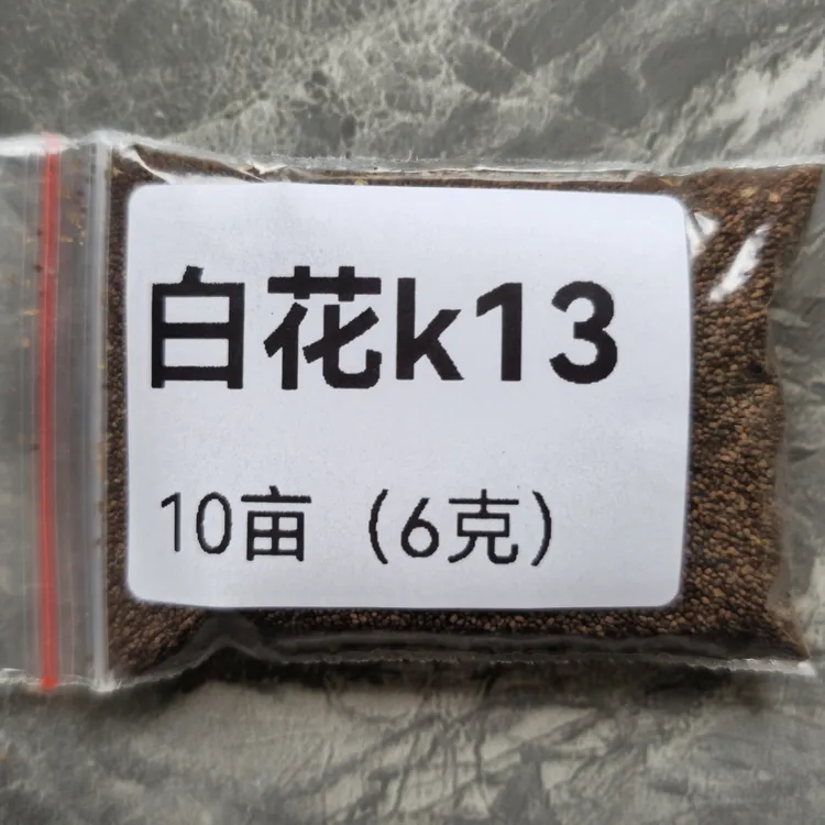 k13裸子颗粒适用于海拔2400米以下产量高抗病好烤WH