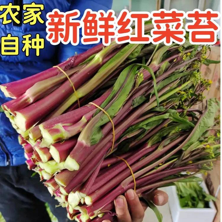 【湖北现摘红菜苔】农家露天种植脆甜红菜心紫菜苔当季时令蔬菜