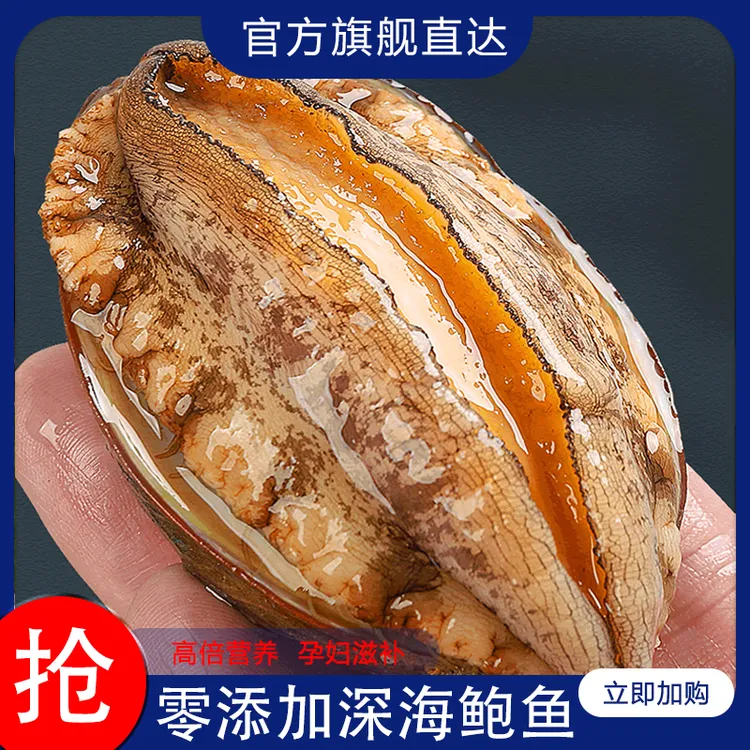 大连鲍鱼肉鲜活冷冻去牙去脏新鲜活鲍现剥火锅食材6头8头海鲜水产