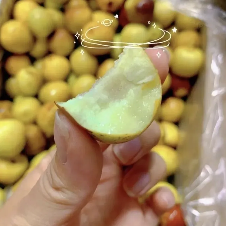 新鲜脆甜的青枣 正宗沾化冬枣