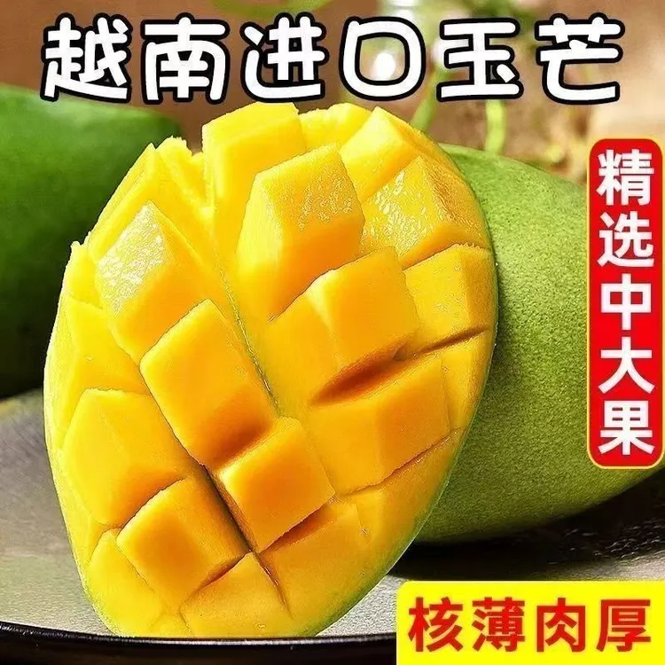 【爆香芒果】 放软食用 新鲜玉芒香甜多汁应季新鲜芒果软糯皮薄肉厚商品图