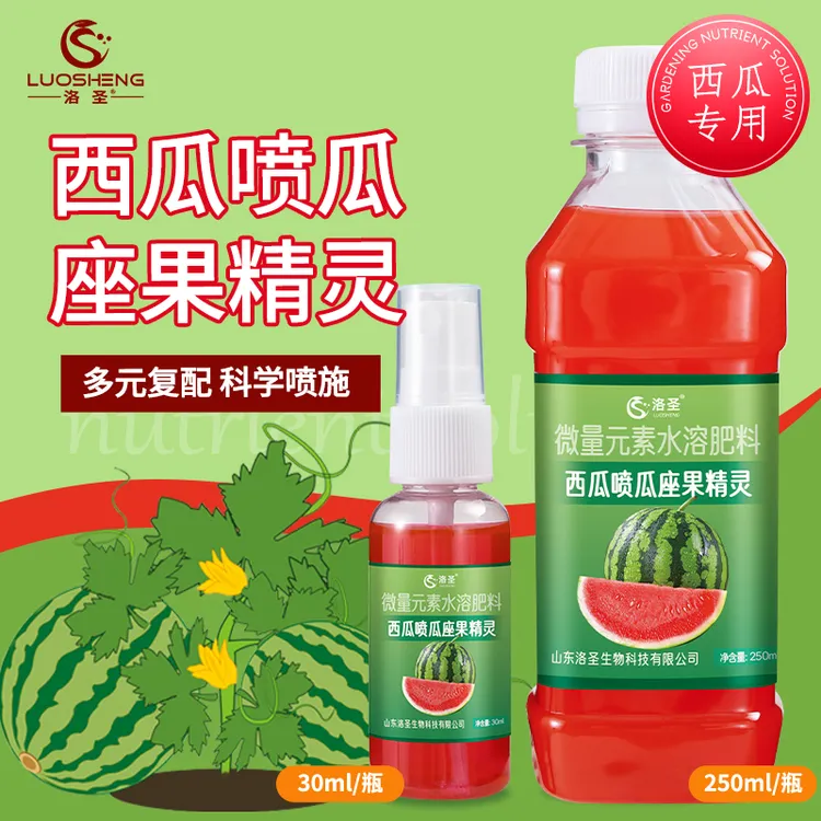 洛圣西瓜喷瓜座果精灵科学喷施多元