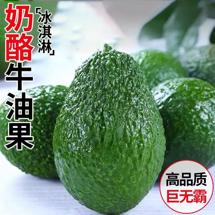 云南哈斯牛油果国产之光新鲜当季水果软糯绵密适合孕妇和宝宝