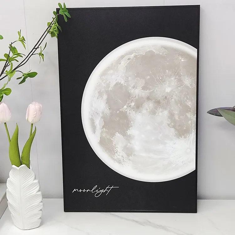 铝合金磨砂细闪月球画沙发靠墙画摆放画沙发背景电视书柜摆件画