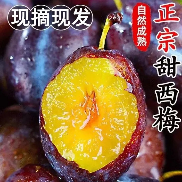 【5斤精品西梅】头茬现摘现发当季时令水果脆甜流汁高品质3/5斤Q