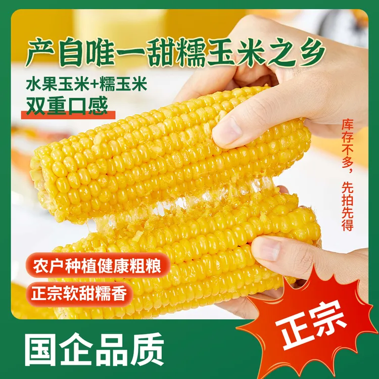 头茬清仓福利粗粮黄糯玉米甜糯玉米非转基因试吃大棒到手8根装