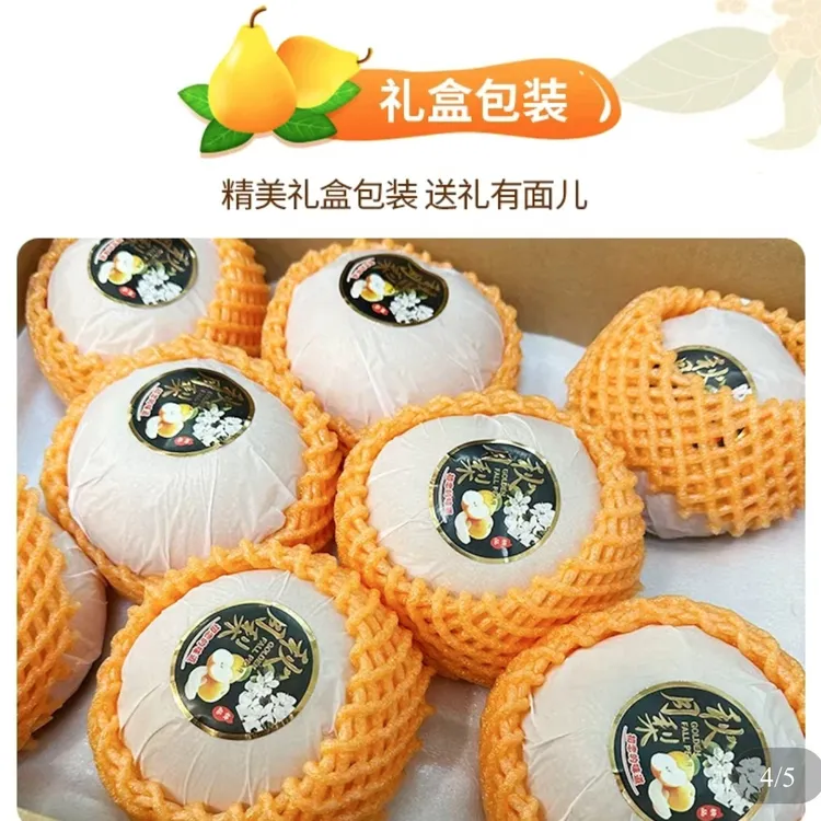  【中秋礼盒8斤】正宗胶东秋月梨产地直供新鲜现摘脆甜多汁皮薄当日