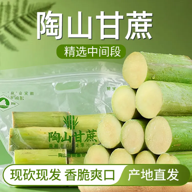 陶山青皮甘蔗果肉装新鲜脆甜当季水果独立包装