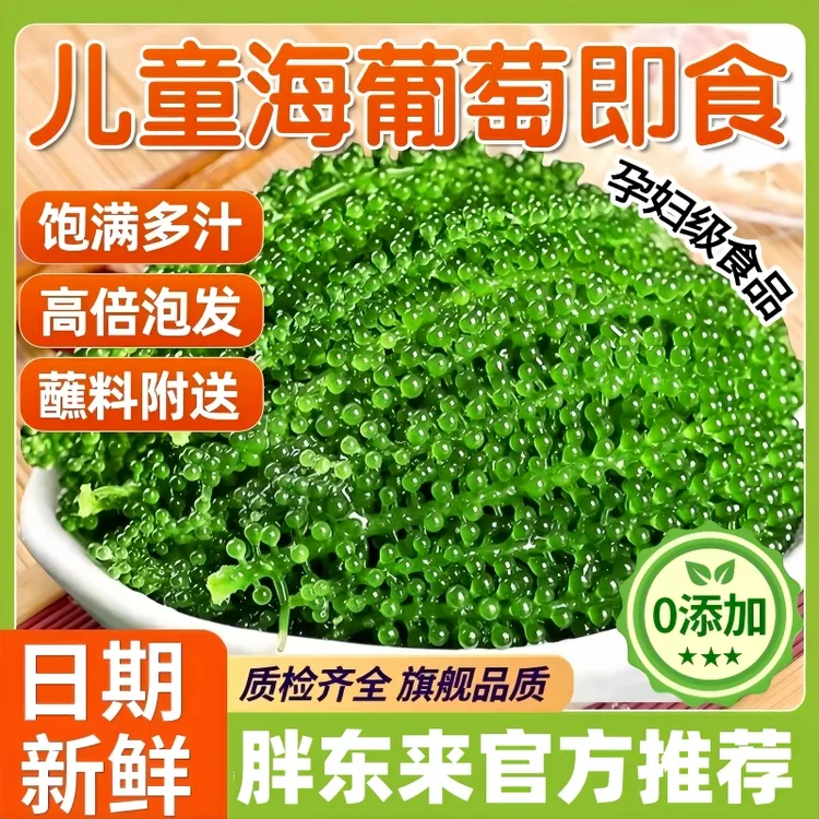 儿童海葡萄即食新鲜孕妇吃零食营养健康网红官方旗舰店