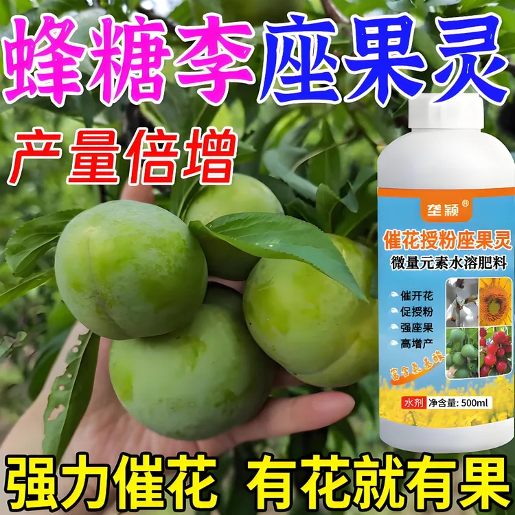 蜂糖李专用肥料保花保果李子树授粉花粉强力授粉坐果精防落增产