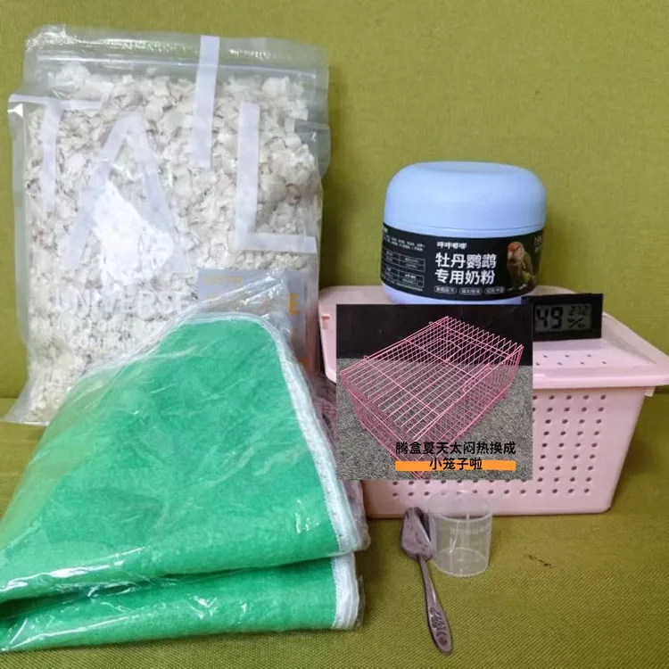 鹦鹉新手大礼包一套