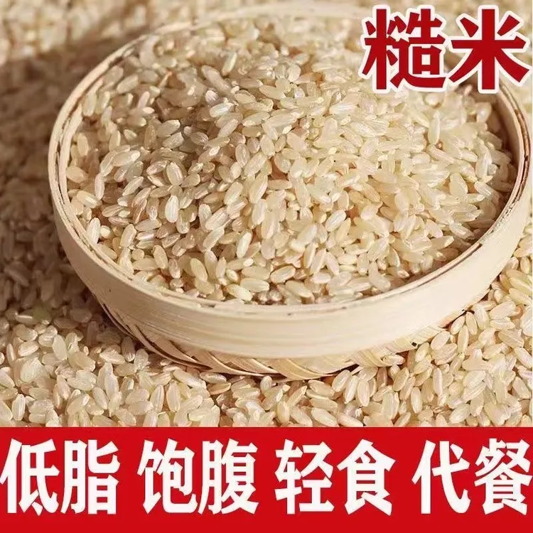 【拍一发五斤】新糙米东北农家糙大米玄米粗粮糙米五谷杂粮胚芽饭