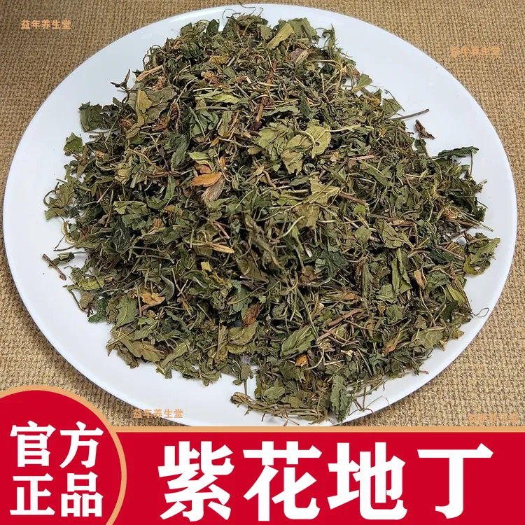 紫花地丁犁头草新鲜干地丁草泡茶泡水紫花地丁草真材实料500g装