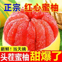 【当季新鲜】红心蜜柚当季新鲜水果清甜多汁低糖孕妇水果应季红柚